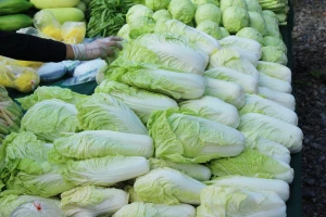 Nestašica kupusa u Kini? Jedna osoba može kupiti samo tri glavice
