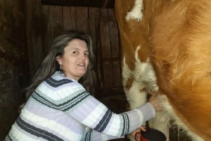 Divna Stanković: Želela bih novu staju za tridesetak krava