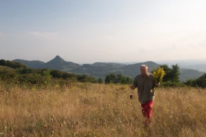 Moj praktični biljarnik - vodič kroz lekovito bilje