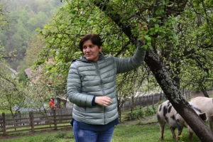 Crvena ranka - povratak čuvene kraljice šljive