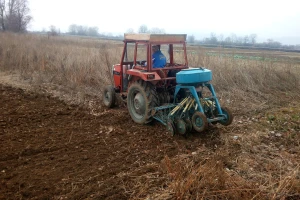 Jesenja setva žitarica počela u decembru
