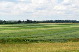 Revizorski sud: Podsticaji za bioraznovrsnost suviše mali - u 10 godina EU nije uradila ništa?