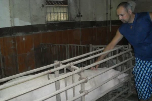 Dejan Lazić: Mala poljoprivredna gazdinstva mogu solidno da zarade
