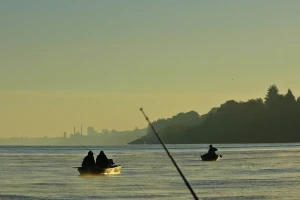 Dunav: Visoka voda - krupna riba