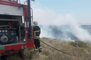 Veliki broj požara na otvorenom: Treba prestati s paljenjem strnjike