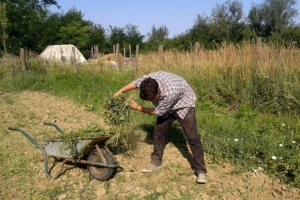 EU i Čile dogovorili razmenu eko proizvoda!