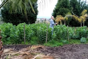 Srpkinja u Italiji protiv korone bori se strpljivošću i punim zamrzivačima
