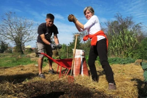 Seme - početak i kraj svake bašte. Koje su prednosti korišćenja setvenog puža?