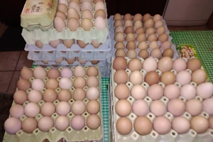 Od prodaje domaćih jaja, meda i likera od maline lepo žive