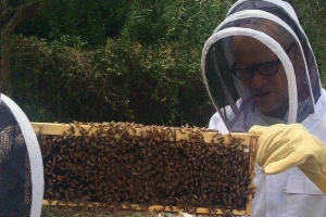 Basista "Peppersa" bavi se i pčelarstvom