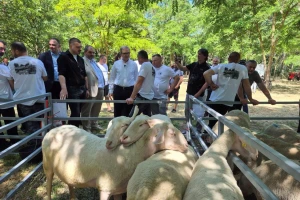 Glamočić upozorava: Ne nasedajte na prevare o  "ubrzavanju" isplate podsticaja