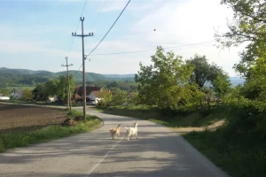 Ukinuto vanredno stanje, neke mere i dalje važe, a kako preko granice?