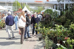 Od 24. aprila u Beogradu se održava Međunarodni sajam hortikulture