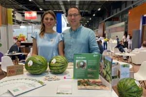 Proizvodnja mini lubenica: "Slatka, mala iz Kaća" putuje u Dubai