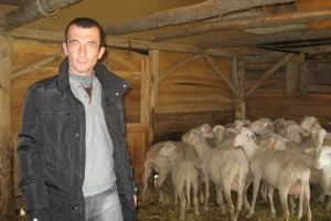 Veterinar se odlučio za ovce i koze