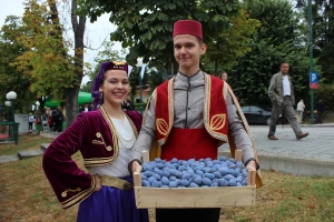 Otvoreni Dani šljive u Gradačcu