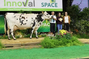SPACE u Renu 33. put okupio evropske stočare
