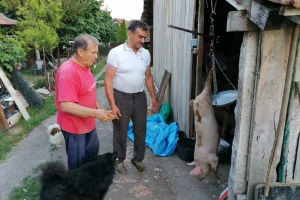 Rast cene teladi i prasadi, ali pad jagnjadi?