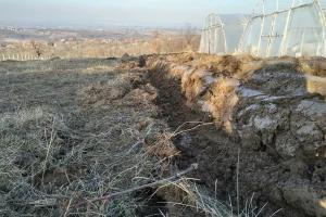 Zelenišno đubrivo dobro za nadoknadu organske materije u zemljištu