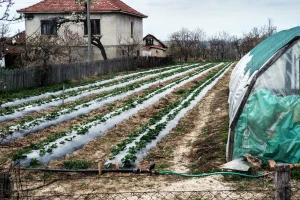 Policijski čas do subote u pet ujutru, za vikend zabrana kretanja kao i radnim danima?