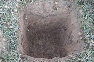Koliko treba da budu duboke i široke rupe za sadnju voća?