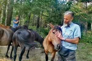 Priča iz Lučice: Tamo gde slepi konj "vidi" više od sistema