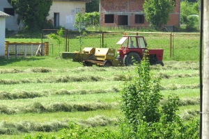 Kada i kako obaviti kosidbu i sušenje sena?