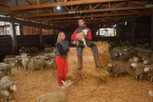 Škola ujutru, farma popodne: Željana i Teodor brinu o 500 ovaca