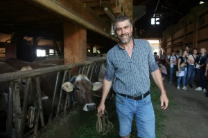 Krave ovde čiste drvenom vunom, a posetioci farme spavaju na slami
