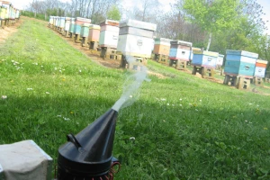 Pčelarenje u Šumadiji puno problema