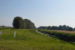 Srbija gradi novih 11 sistema za navodnjavanje