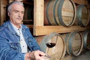 Vina iz Srbije sve popularnija u inostranstvu