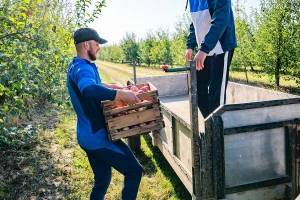Proizvođačke organizacije jačaju položaj poljoprivrednika u lancu snabdevanja hranom