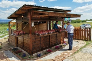 Od jagoda džem, tražena i rakija