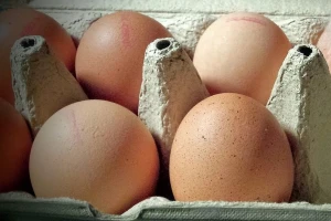 Zaražena jaja prodavana u sedam zemalja