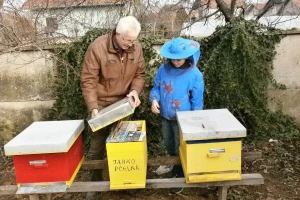 Janko Antić  je najmlađi pčelar u resavskom kraju