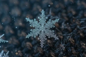 Jeste li ikada izbliza videli pahulje snega?