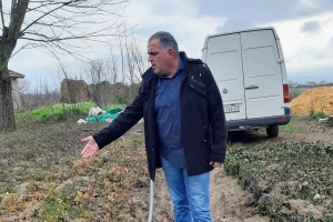 Studirao voćarstvo, a sada najveći proizvođač sadnica ruža na jugu Srbije