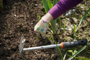 Evo koliko kilograma možete da izgubite dok okopavate baštu