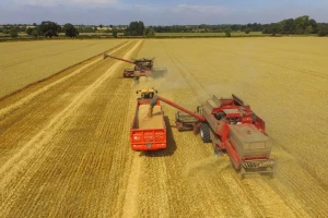 U Velikoj Britaniji počela žetva pšenice, prinosi i do 17 t/ha