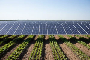 Kako pomoću sunčeve energije navodnjavati povrće?
