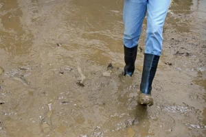 Kako se Hrvatska prilagođava klimatskim promenama?