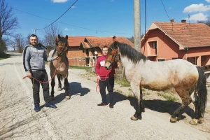Imati konja - porodična tradicija i ljubav koja (ne) košta