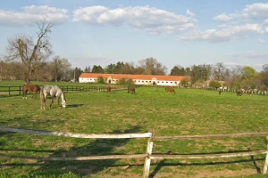 Krpeljski encefalitis prvi put u Srbiji!