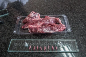 Pregled mesa na trihinelozu obaveza, posledice dugotrajne