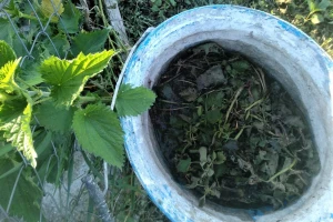 Koja prirodna đubriva možete primeniti u povrtarstvu?