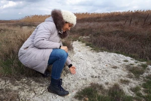 Lalinačka slatina krije živo blato i retke biljke i životinje