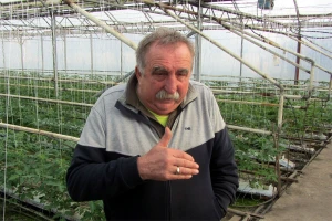 Povrtarima potrebna organizacija kao u Italiji?