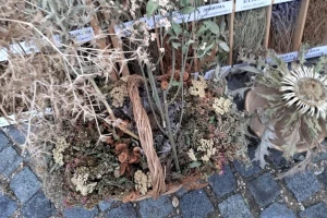 Kako treba sušiti, a kako kuvati čaj od lekovitog bilja?