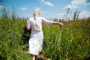 Lekovito bilje razvojna šansa jugoistočne Srbije